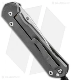 Chris Reeve Large Sebenza 21 Knife CGG Doppler (3.5" Stonewash) 8 Chris Reeve Large Sebenza 21 Knife CGG Doppler (3.5" Stonewash) -Chris Reeve Store Chris Reeve Large Sebenza 21 CGG Doppler SW L21 1246 BHQ 92524 jr side