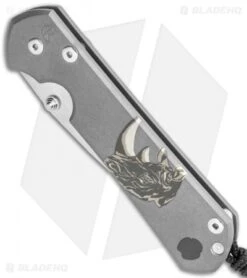 Chris Reeve Store -Chris Reeve Store Chris Reeve Large Sebenza 31 CGG Rhino SW L31 1500 BHQ 118812 jr spine