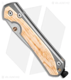 Chris Reeve Large Sebenza 31 Frame Lock Knife Box Elder Burl (3.625" SW) -Chris Reeve Store Chris Reeve Large Sebenza 31 FL Box Elder Burl SW BHQ 98964 jr spine