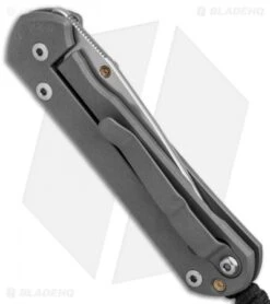 Chris Reeve Small Sebenza 21 Knife CGG Buffalo (2.94" Stonewash) -Chris Reeve Store Chris Reeve Sebenza 21 Small Cape Buffalo CGG BHQ 80792 er side