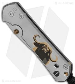 Chris Reeve Small Sebenza 21 Knife CGG Buffalo (2.94" Stonewash) -Chris Reeve Store Chris Reeve Sebenza 21 Small Cape Buffalo CGG BHQ 80792 er spine
