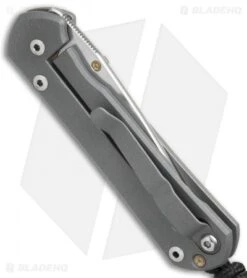 Chris Reeve Small Sebenza 21 Graphic Citrine Unique (2.9" Satin) 9/21/17 -Chris Reeve Store Chris Reeve Small Sebenza 21 Graphic Citrine Unique Satin BHQ 76605 er side