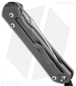 Chris Reeve Large Sebenza 21 Knife CGG Cut Once (3.625" Satin) -Chris Reeve Store chris reeve large sebenza 21 cgg side arm side cm