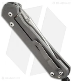 Chris Reeve Large Sebenza 21 Knife CGG Perception (3.625" Satin) -Chris Reeve Store chris reeve lg sebenza 21 cgg perception cm side