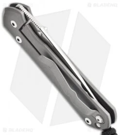 Chris Reeve Small Sebenza 21 Knife Riddled CGG (2.94" Plain) -Chris Reeve Store chris reeve smal sebenza 21 cgg raindrop side