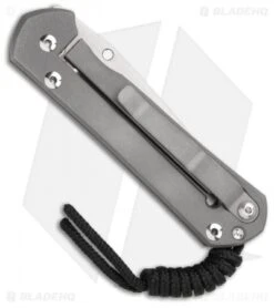 Chris Reeve Small Sebenza 21 Knife Gold Leaf CGG (2.94" Plain) 5 Chris Reeve Small Sebenza 21 Knife Gold Leaf CGG (2.94" Plain) -Chris Reeve Store chris reeve small sebenza 21 unique graphic march272013